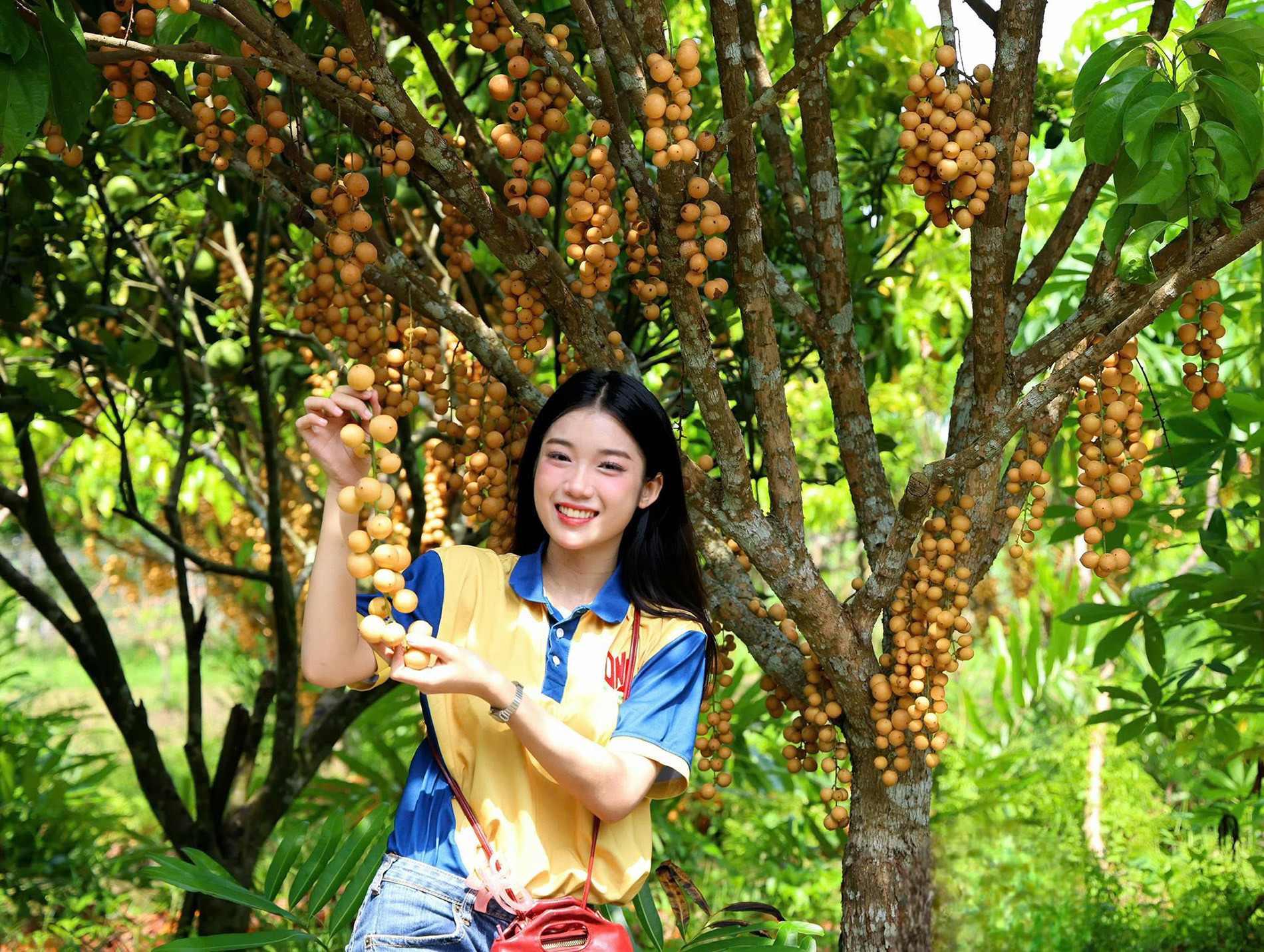 Du lịch 34.jpg