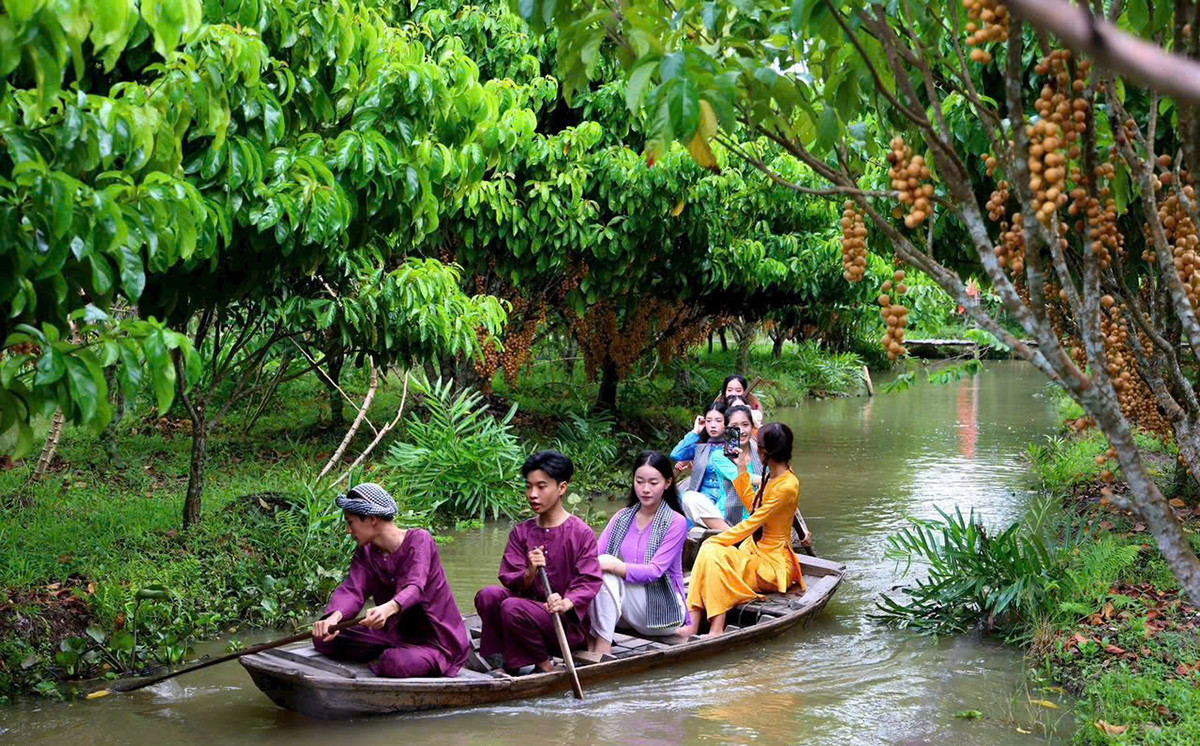 Vườn dâu 123.jpg