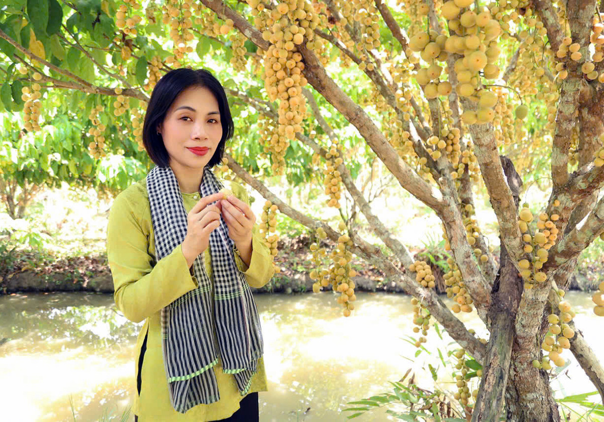 Vườn dâu 1234.jpg