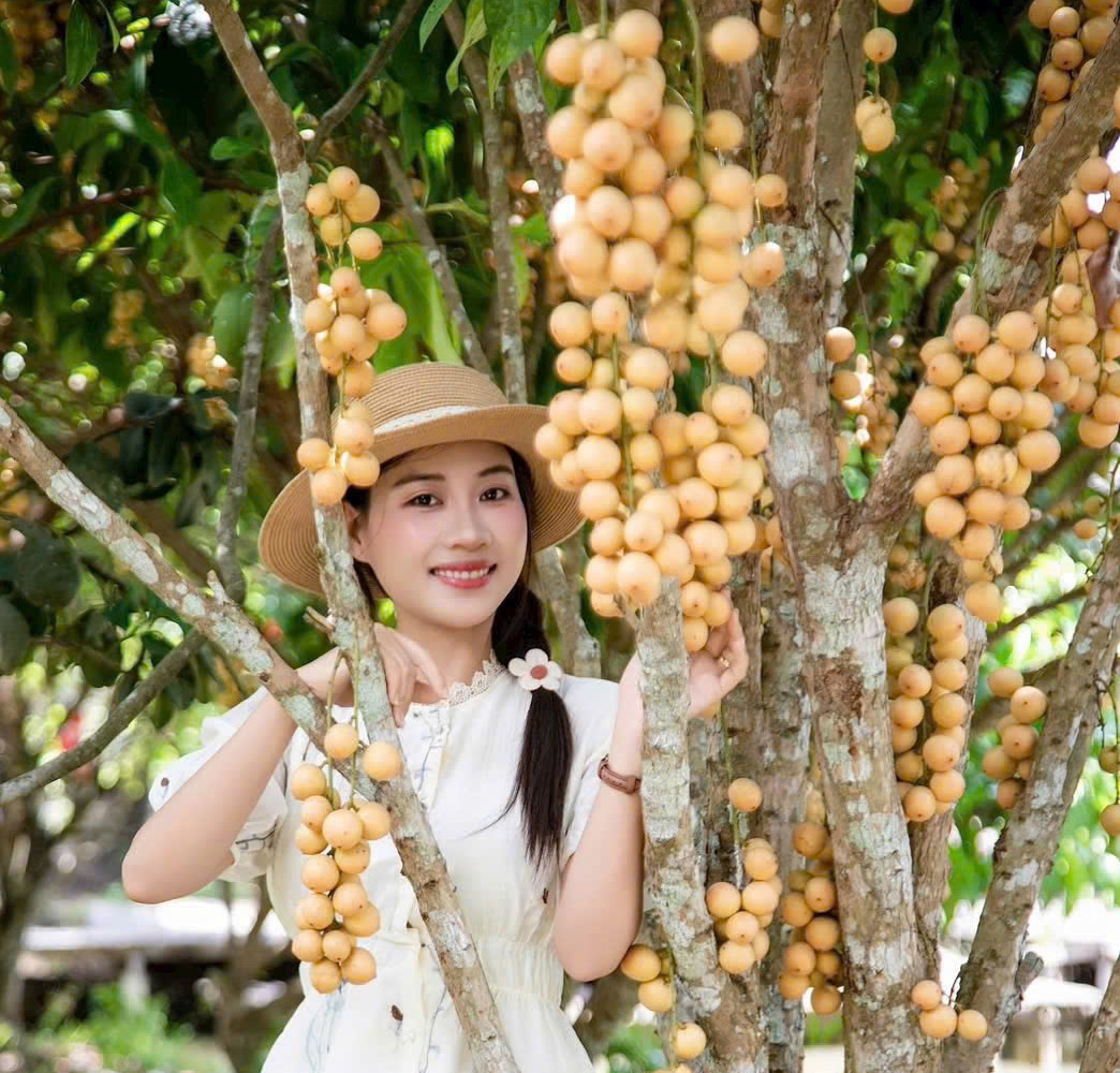 Vườn dâu 232.jpg