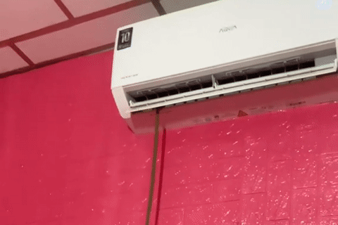 Đang nghỉ trưa, người đàn ông Tây Ninh phát hiện rắn chui ra từ điều hòa