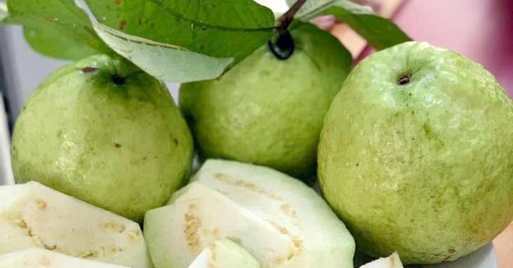 Tác dụng của việc ăn 1-2 quả ổi mỗi ngày