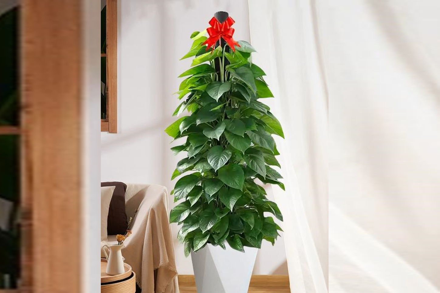 Top 3 loại cây có thể giúp hóa giải góc nhọn, đường đâm thẳng vào nhà