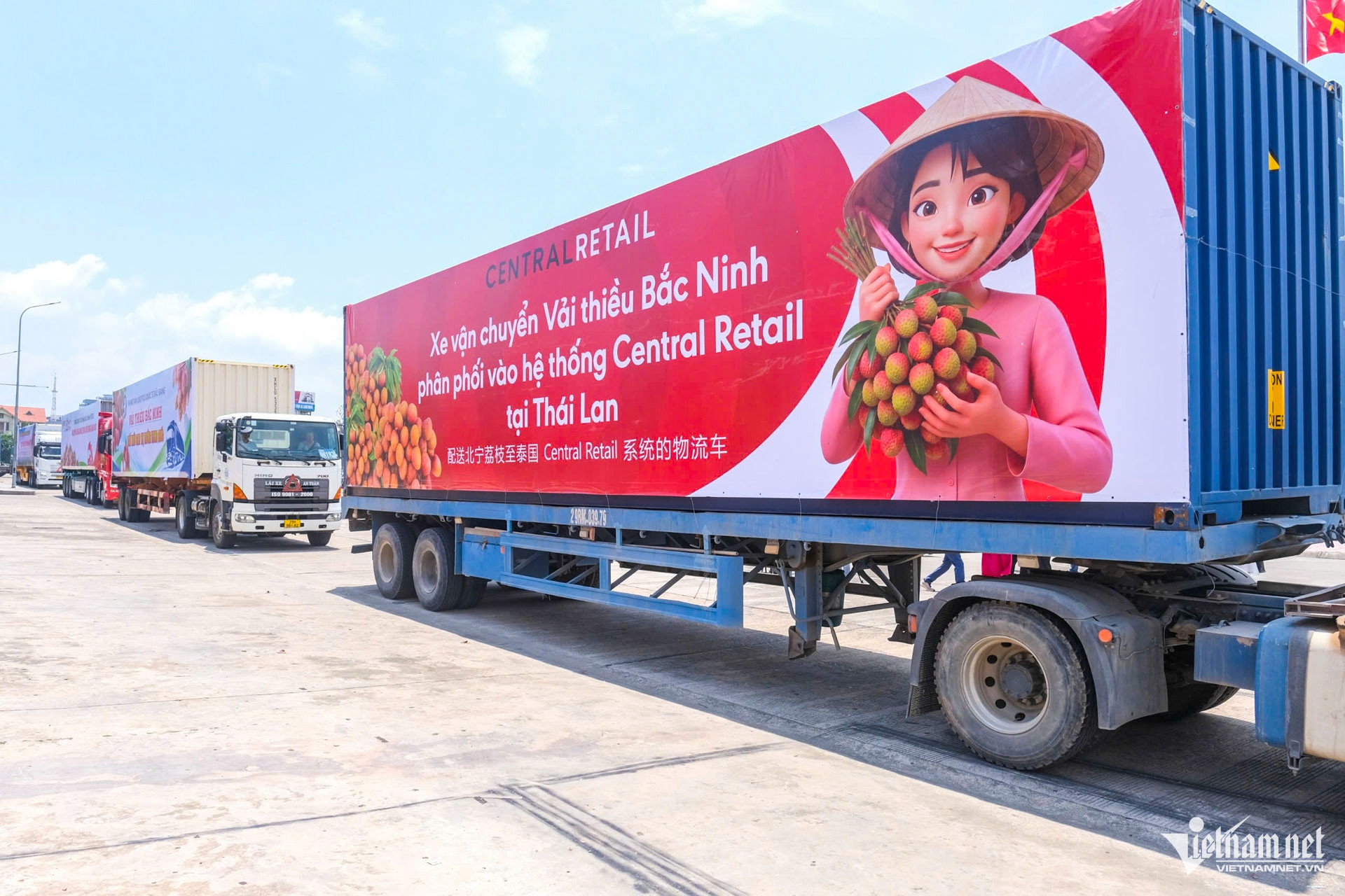 W-vải tổ bắc ninh_13.JPG.jpg