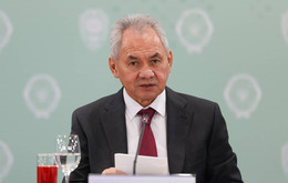 1475861 tas.jpg