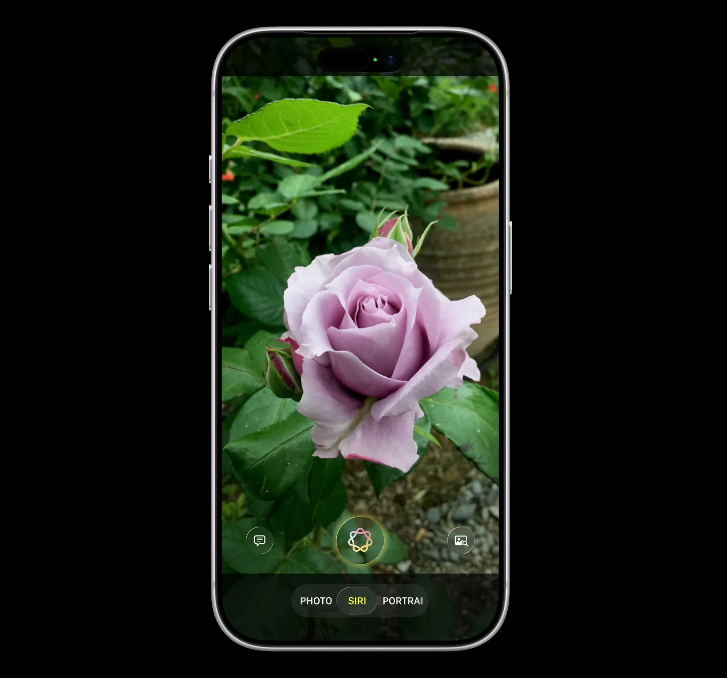 Apple Siri mới 3.png