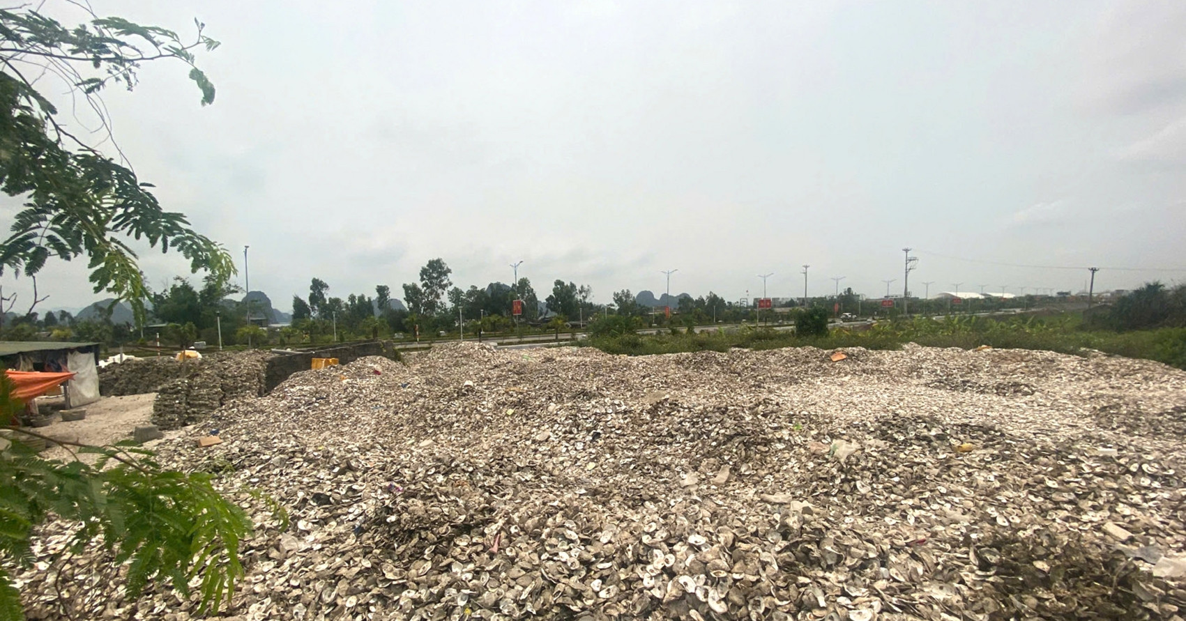 Đổ hơn 320 tấn vỏ hàu gây ô nhiễm môi trường, chủ cơ sở bị khởi tố