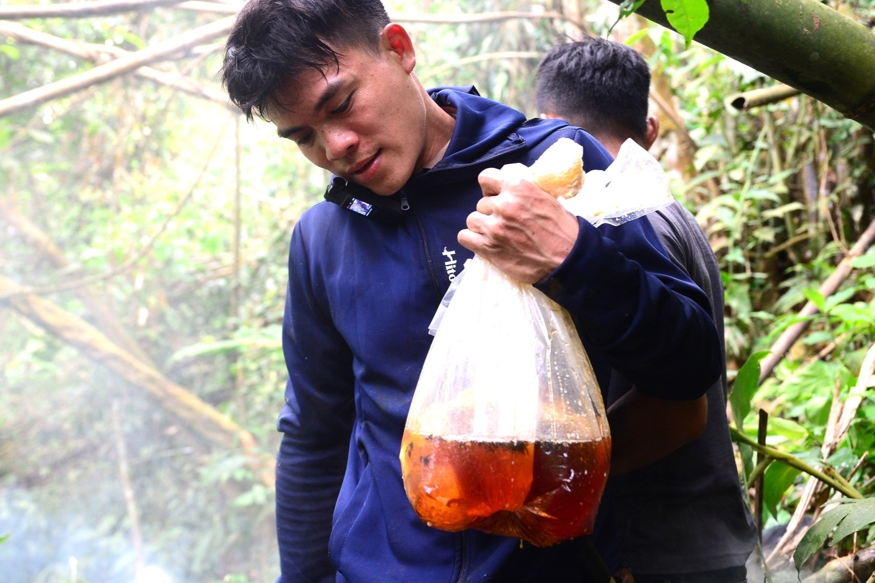 Liều mình leo trèo giữa đại ngàn, thợ săn mật ong bỏ túi bạc triệu mỗi ngày