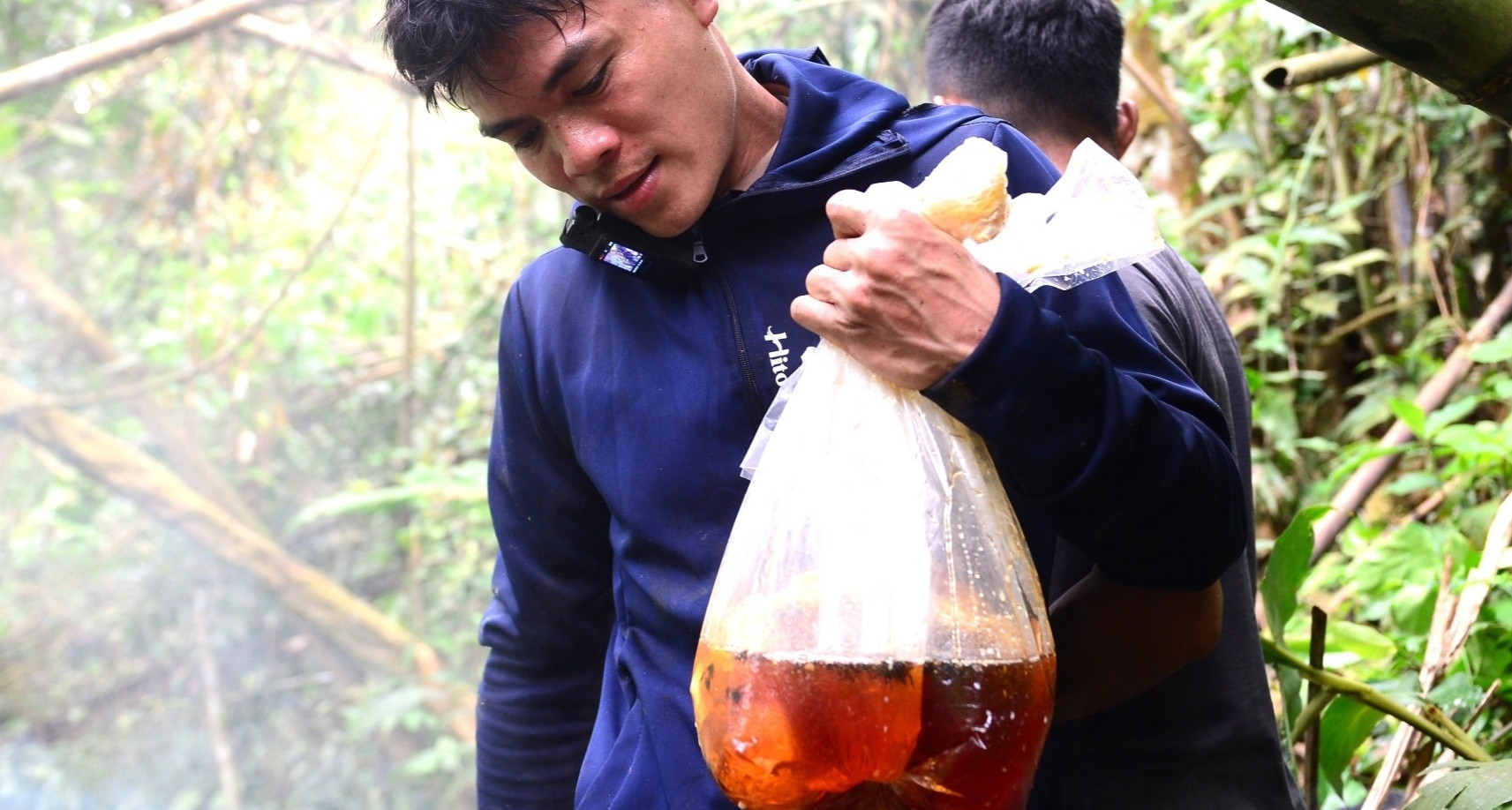 Liều mình leo trèo giữa đại ngàn, thợ săn mật ong bỏ túi bạc triệu mỗi ngày