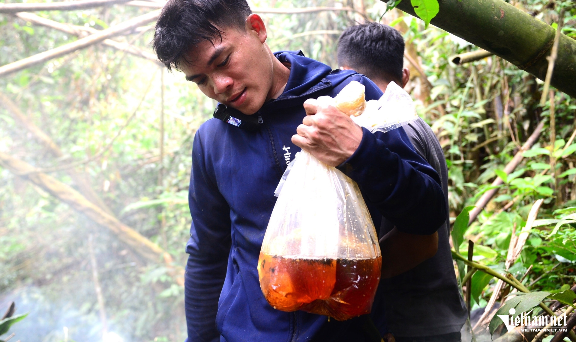 W-a5Săn mật ong rừng.JPG.jpg