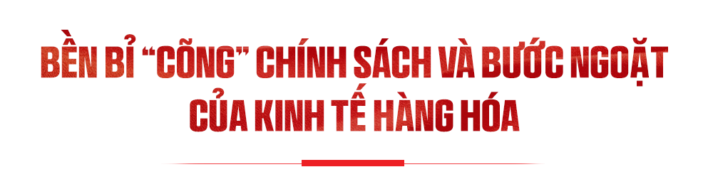 Tit 3 bai.png