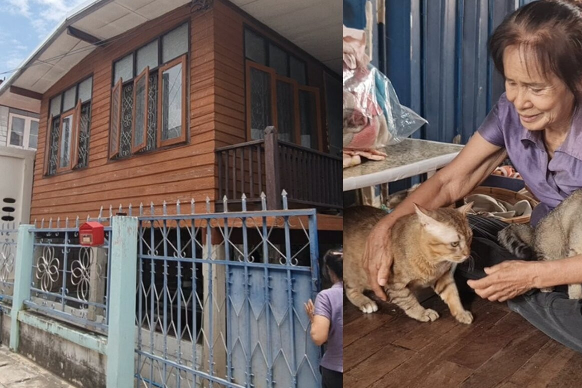 Bà lão 81 tuổi sống tằn tiện, dành tiền mua nhà hơn 800 triệu đồng cho mèo hoang