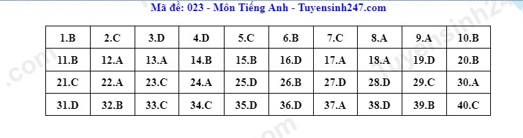 Dap an23.jpg