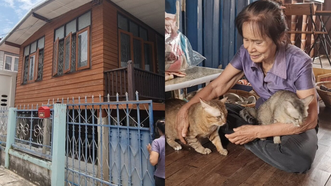 meohoang.jpg