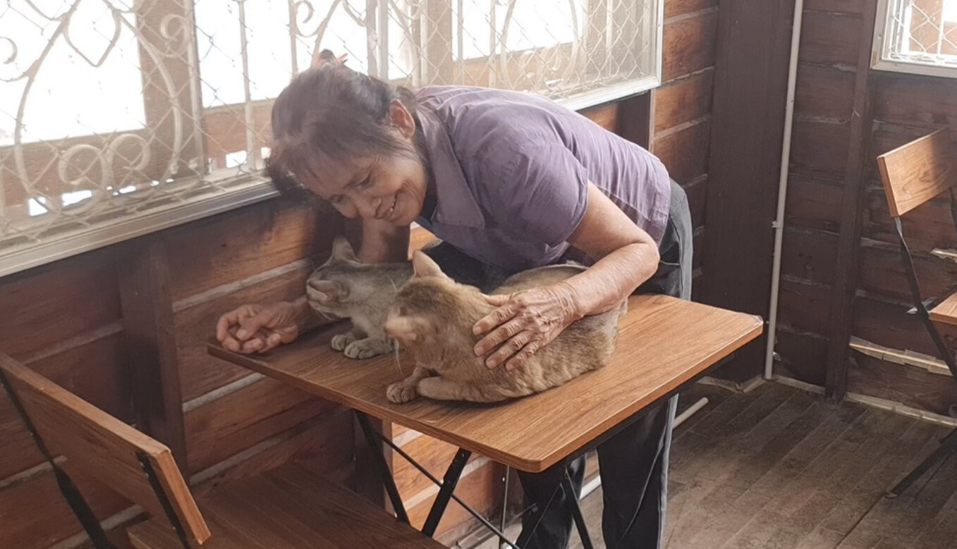 meohoang1.jpg