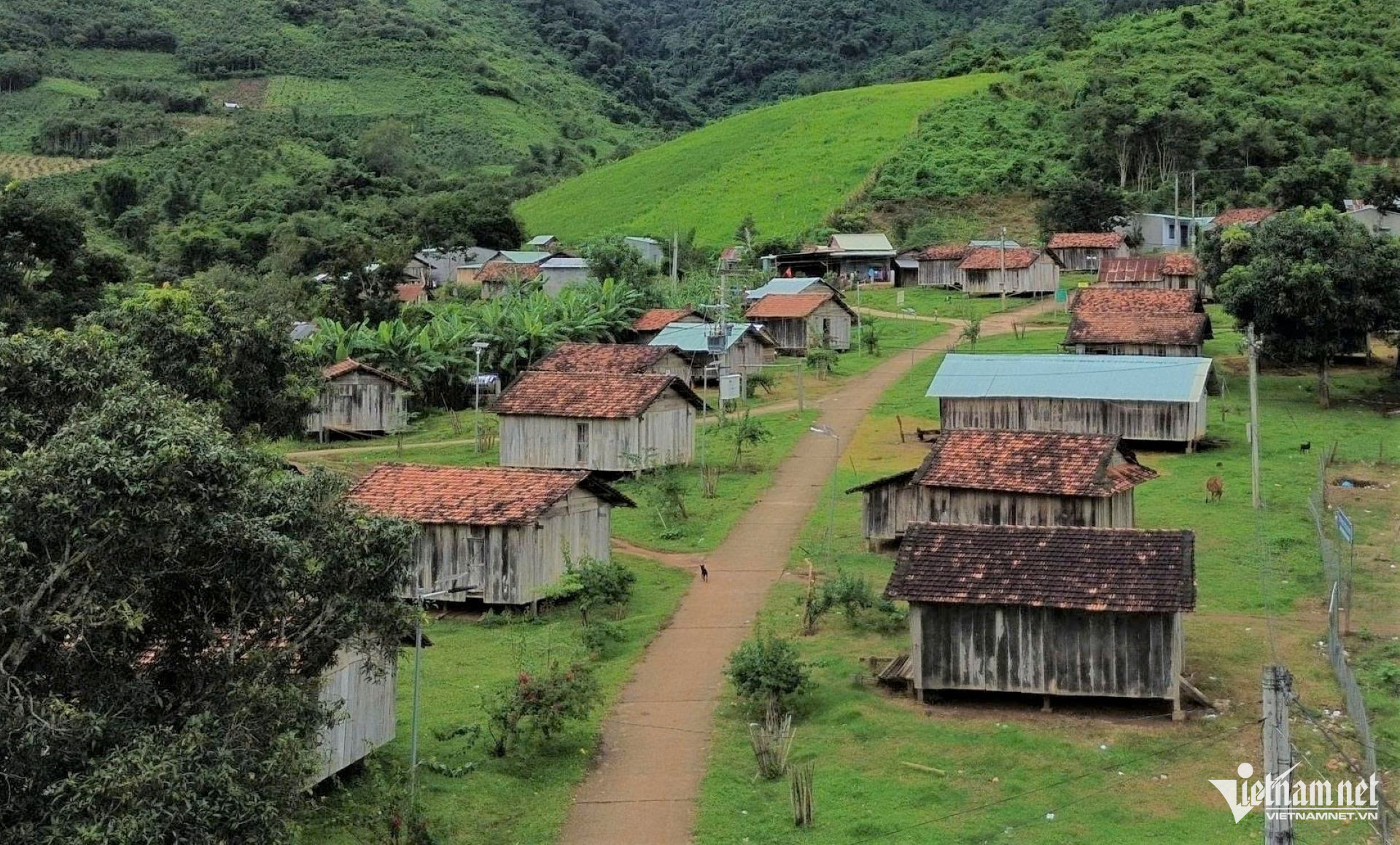 W-nha lang 2.jpg