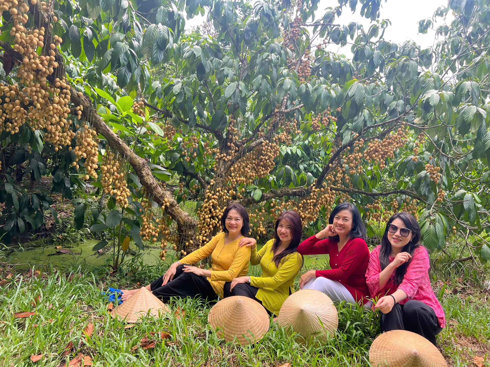 Du lịch.jpg