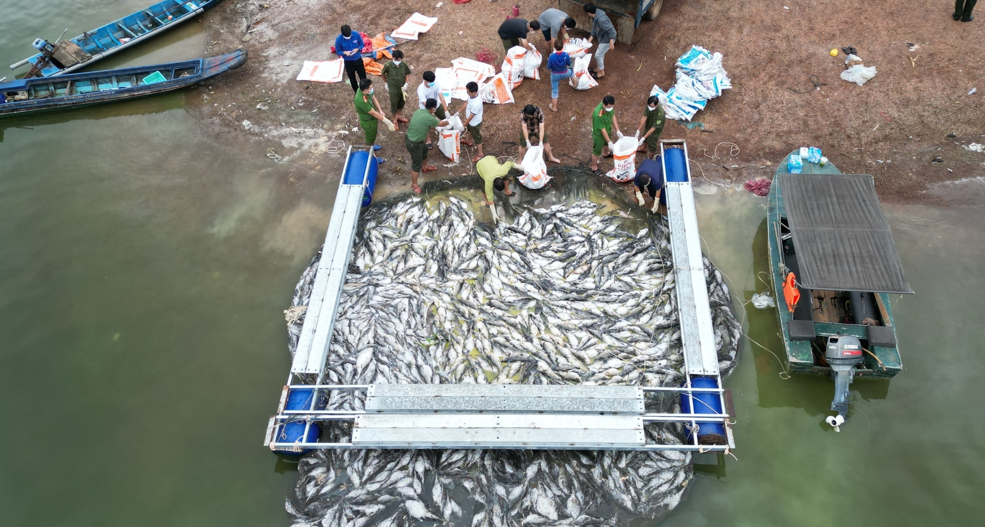 Hơn 100 tấn cá chết trắng hồ Trị An sau mưa lớn đầu mùa