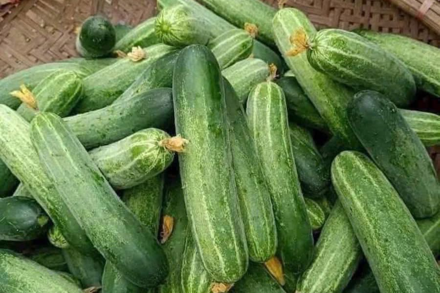 5 nhóm người nên ăn nhiều dưa chuột