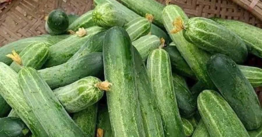5 nhóm người nên ăn nhiều dưa chuột