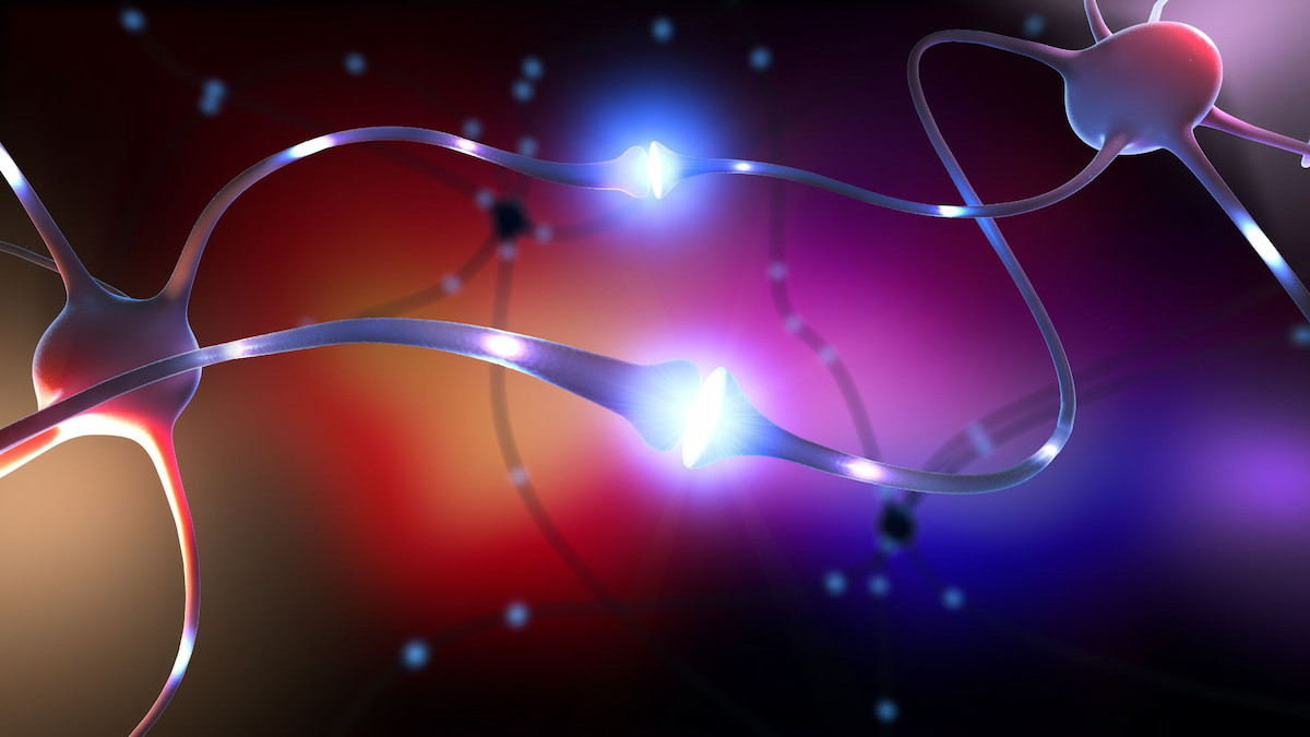 dopamine la gi 1.jpg