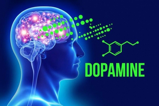 Dopamine là gì? Vai trò của Dopamine trong cơ thể?