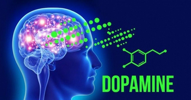 Dopamine là gì? Vai trò của Dopamine trong cơ thể?