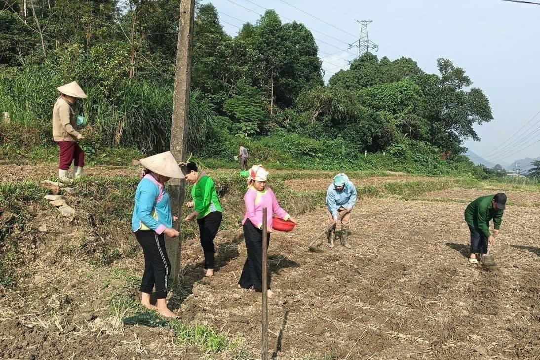 Giảm nghèo thông tin: 