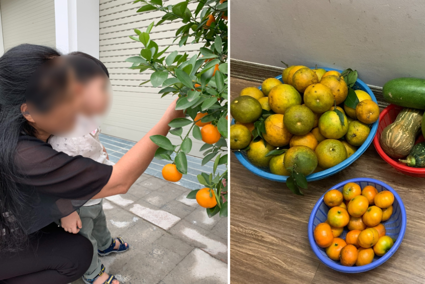 Nàng dâu 3 năm không về quê nghỉ lễ, hổ thẹn trước hành động của bố mẹ chồng U80