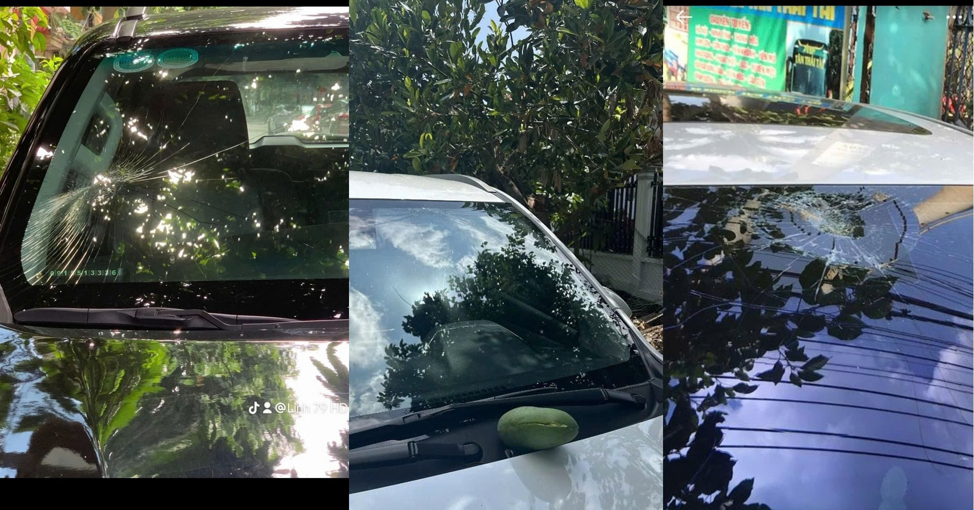 Quả xoài rơi trúng kính lái ô tô, chủ xe Mitsubishi Xpander mất oan 10 triệu