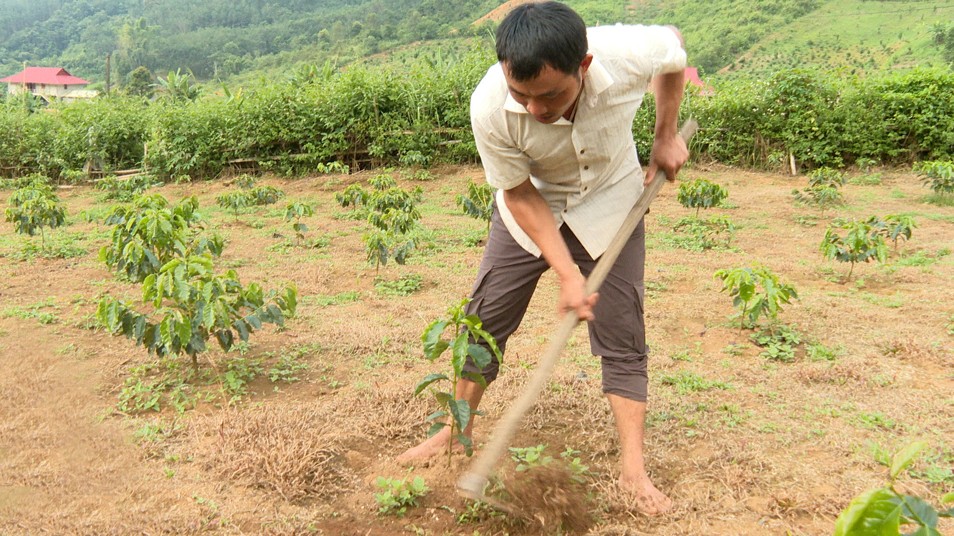 Quang Van Toan.jpg