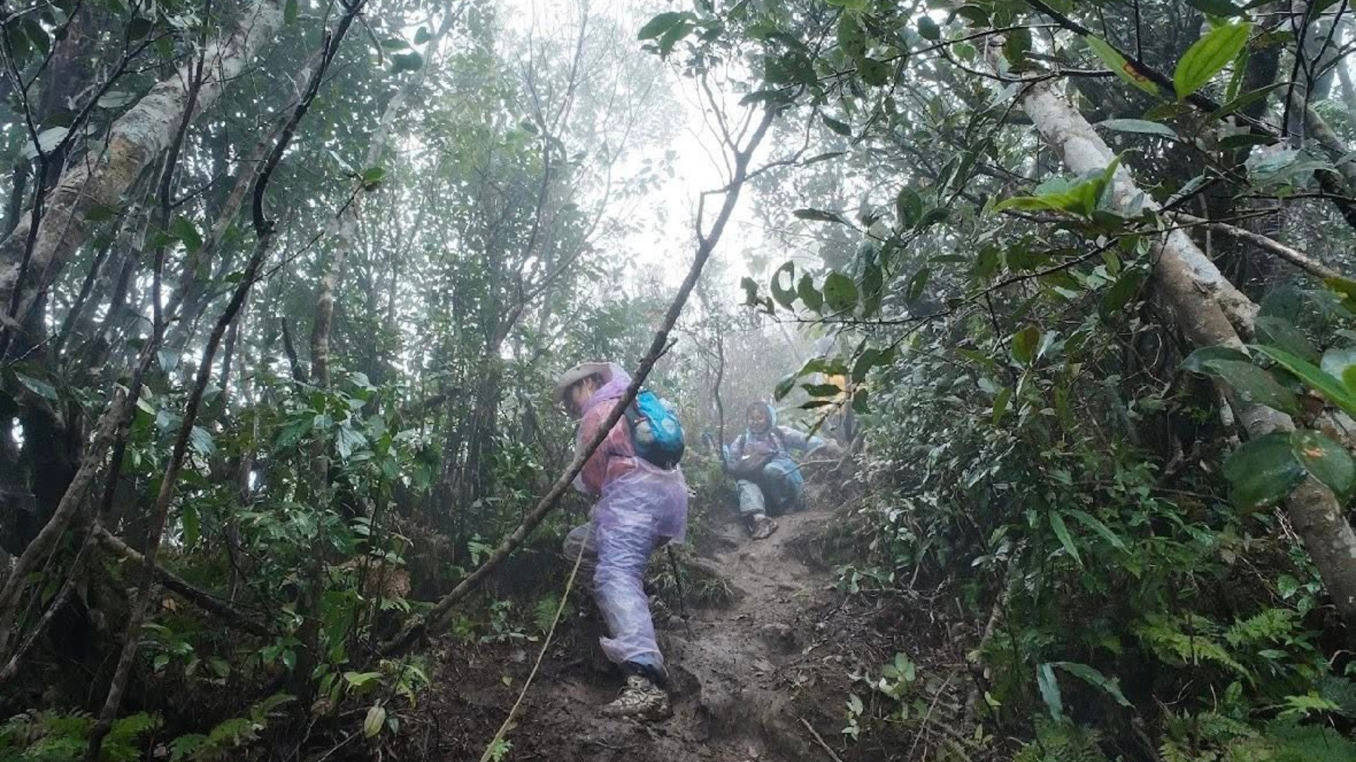 trekking tam dao.jpg