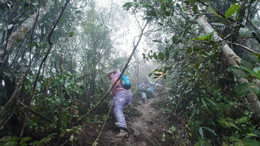 trekking tam dao.jpg