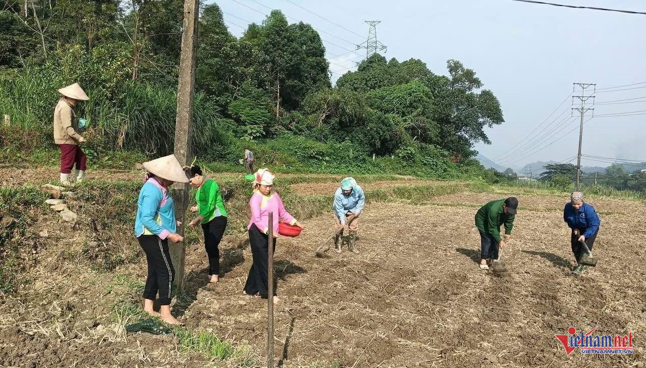 W-anh bai p pa tan.jpg