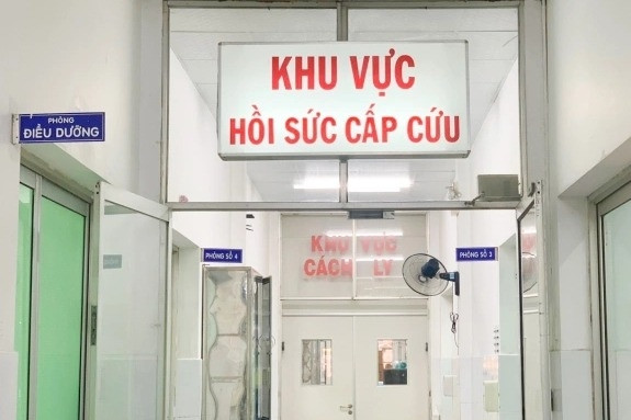 Bắt ve sầu về ăn, 9 người dân bị ngộ độc