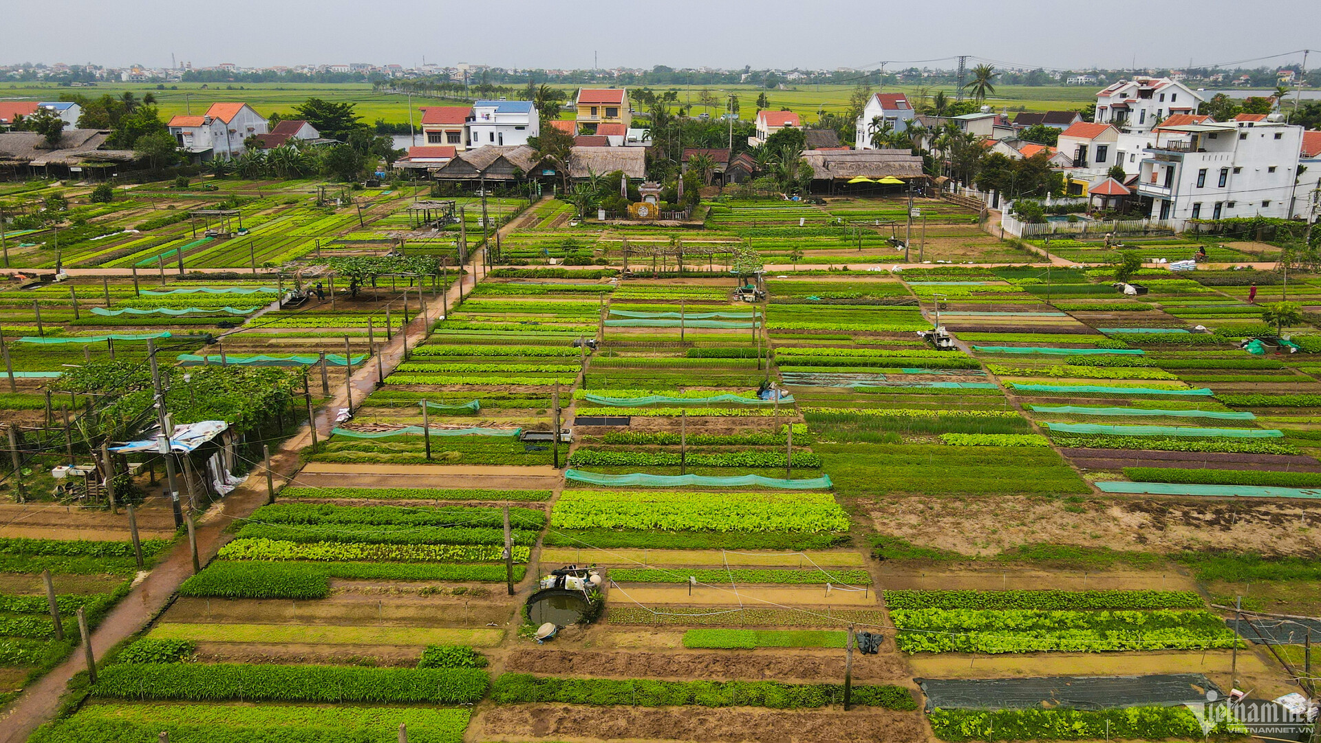 du lịch hội an