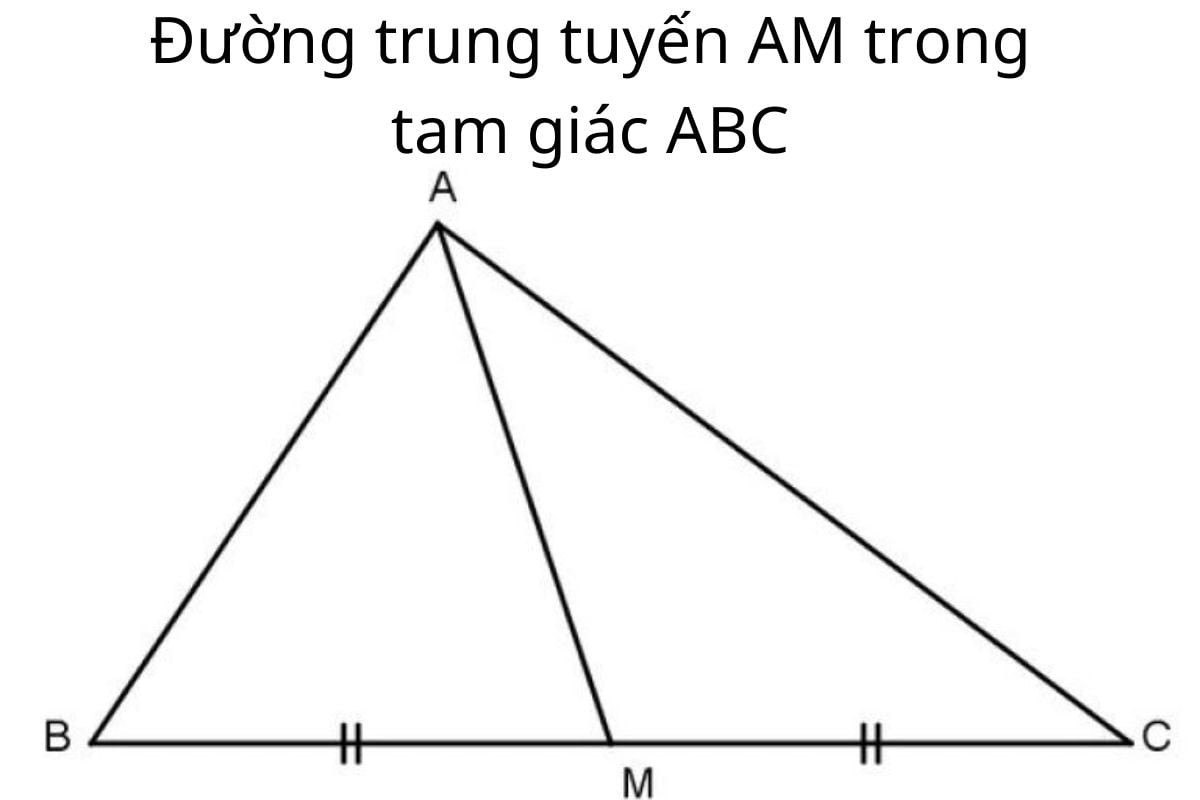 duong trung tuyen 1.jpg