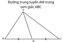 duong trung tuyen 1.jpg
