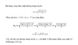 duong trung tuyen 2.jpg