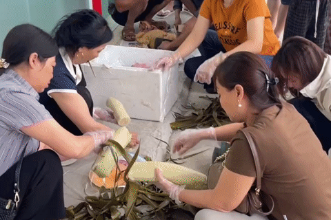 Gia đình 39 người ở Bắc Ninh đem bánh chưng, gà luộc, 20kg hoa quả đi du lịch