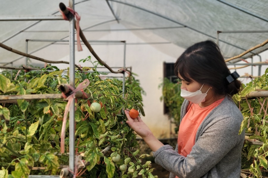 Giảm nghèo thông tin tạo chuyển biến trong phát triển nông nghiệp ở Tân Yên