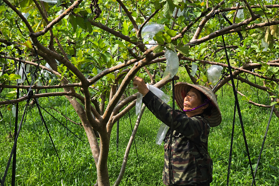 Ninh Bình đẩy mạnh truyền thông về chuyển đổi số và giảm nghèo thông tin