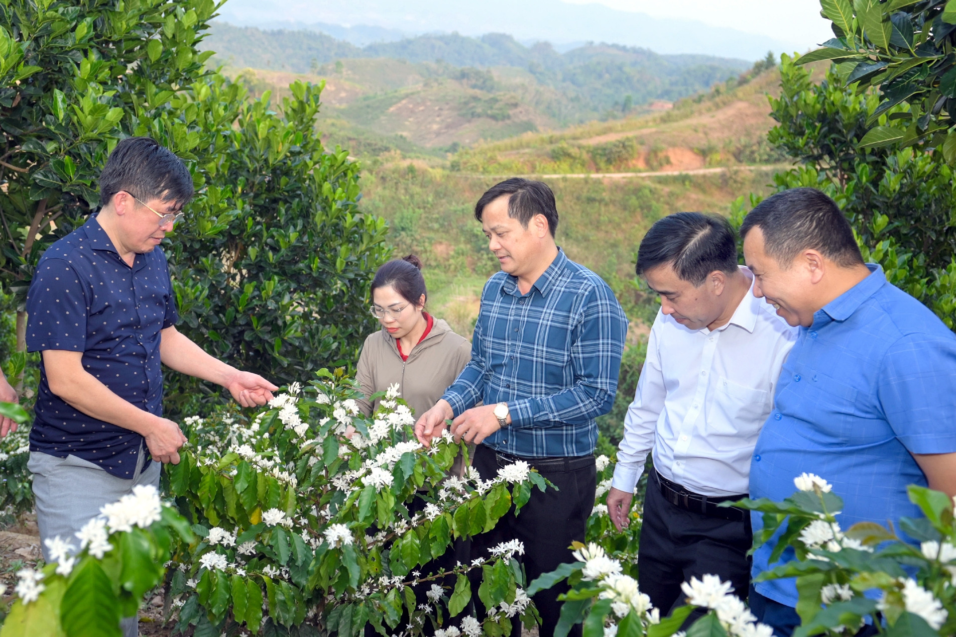  Phó Chủ tịch tỉnh Điện Biên: Giá cà phê giờ minh bạch, không ép được nữa 