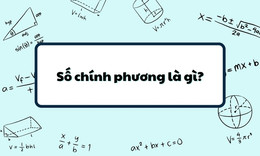 so chinh phuong 1.jpg