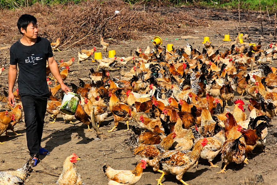 Cà Mau đẩy mạnh chuyển đổi số, giảm nghèo thông tin bền vững