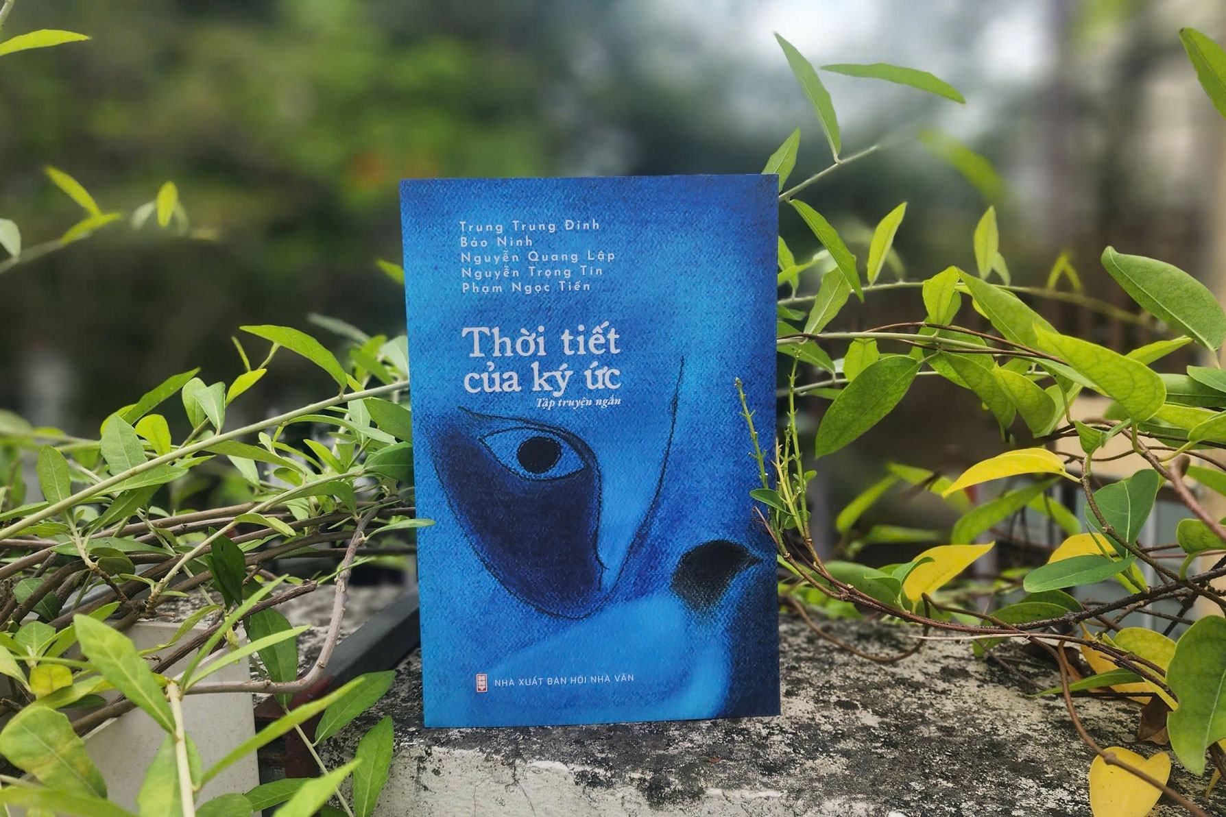 Cuốn sách đặc biệt hội ngộ 5 nhà văn nổi tiếng