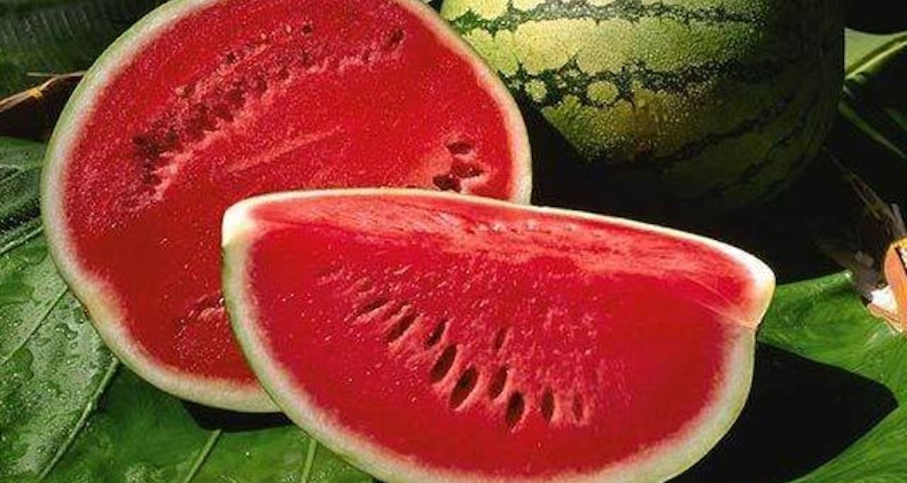 Phần thường bị bỏ đi của dưa hấu lại là bài thuốc lợi tiểu cực hiệu quả