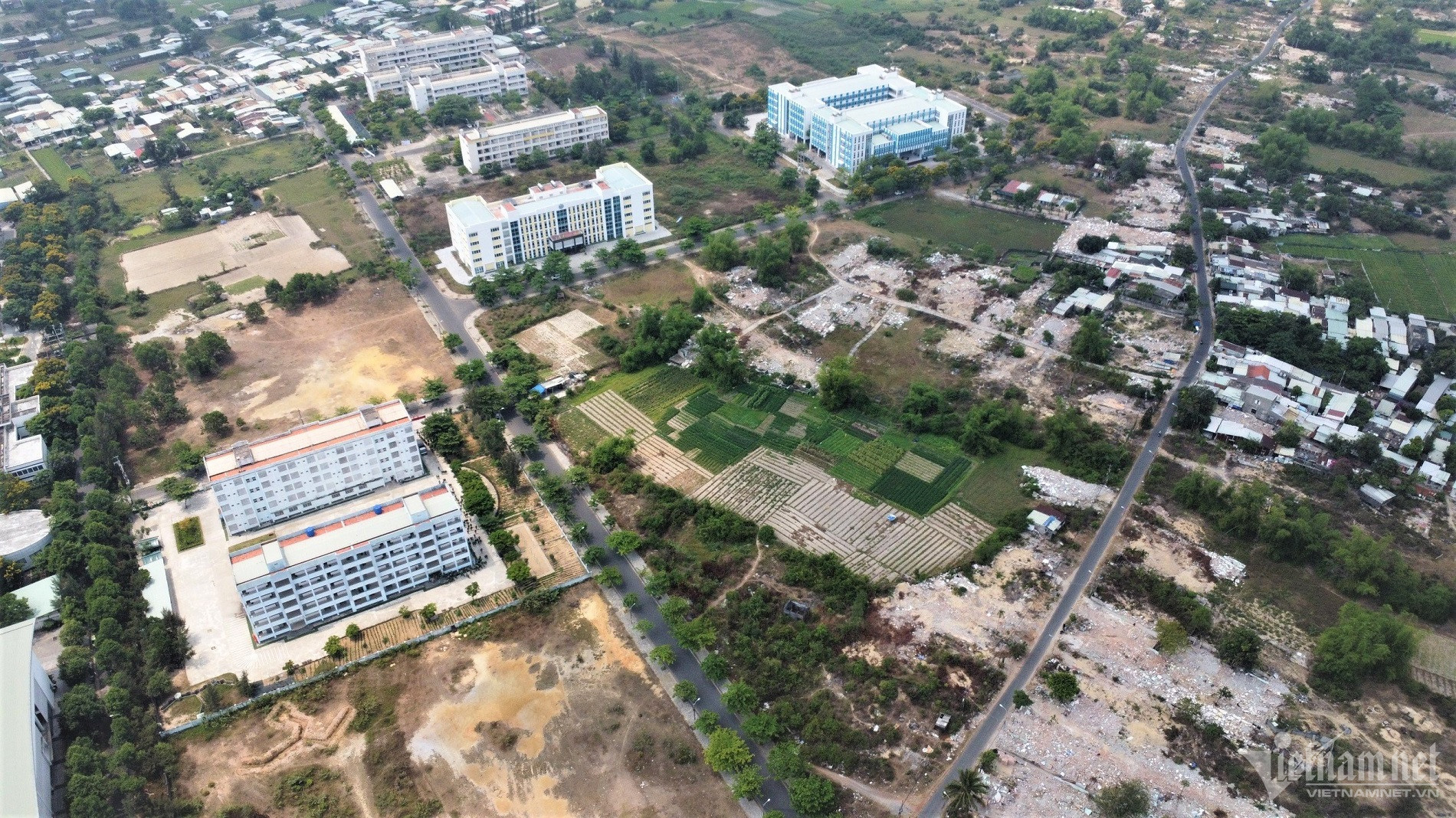 w lang dai hoc 1 1211.jpg