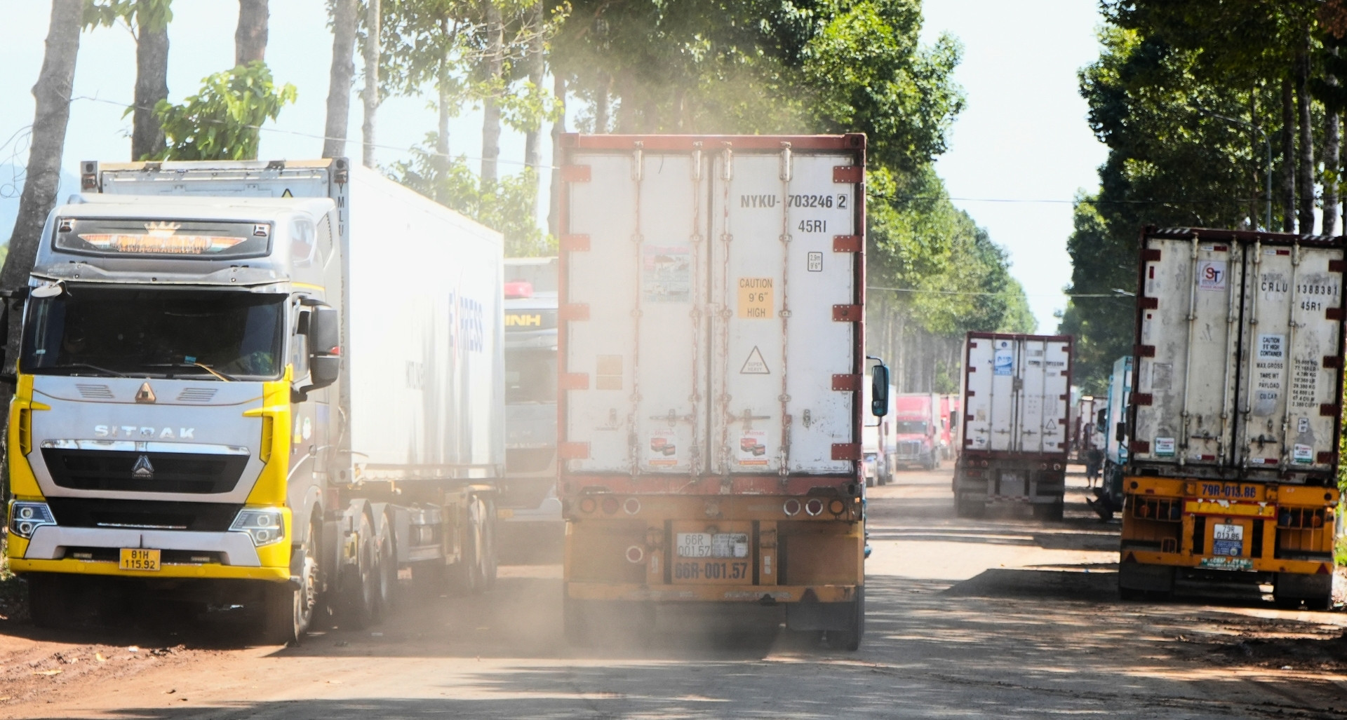 Dầu Giây hết cảnh container sầu riêng chờ kiểm định, áp lực với chủ hàng vẫn lớn