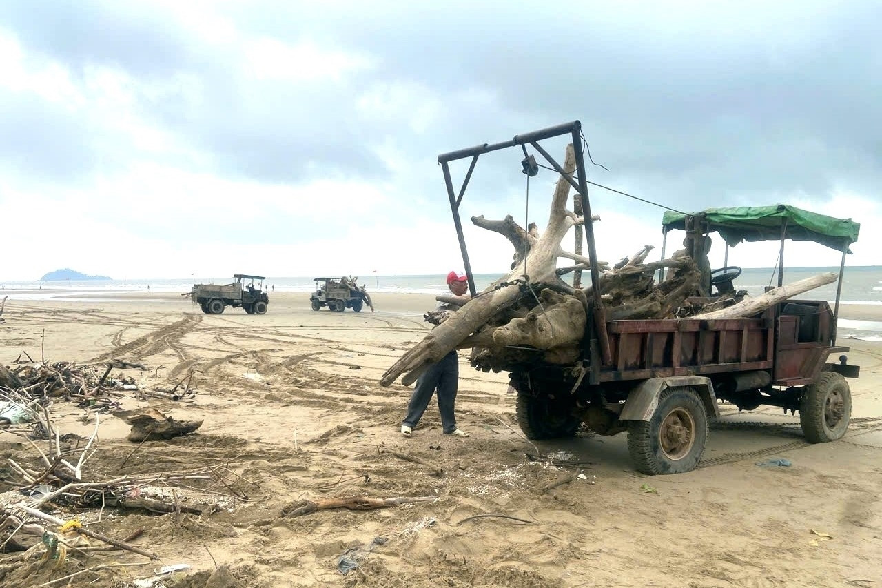 Dọn hơn 100 tấn 'bãi chông' nguy hiểm dọc biển Thanh Hóa